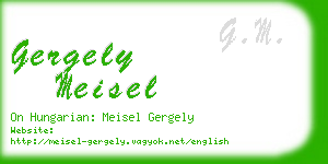 gergely meisel business card